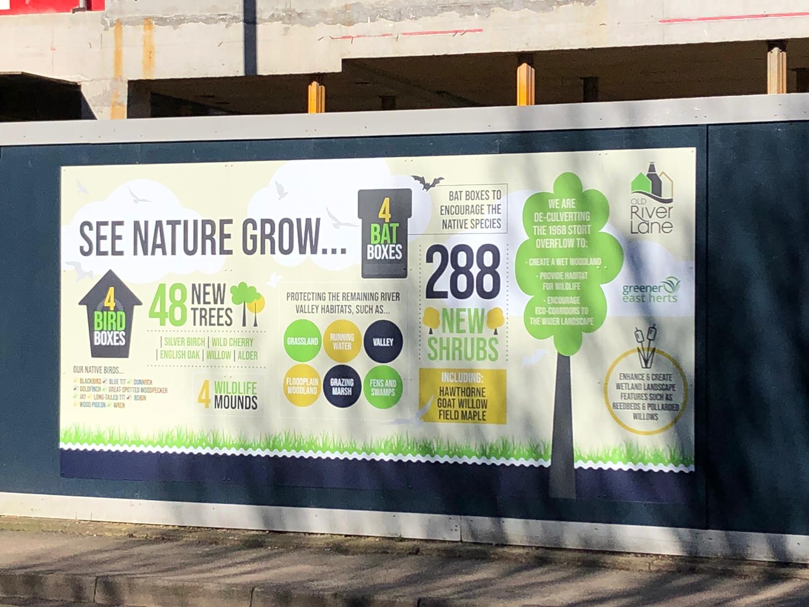 Northgate End hoarding reads "see nature grow" with image of tree