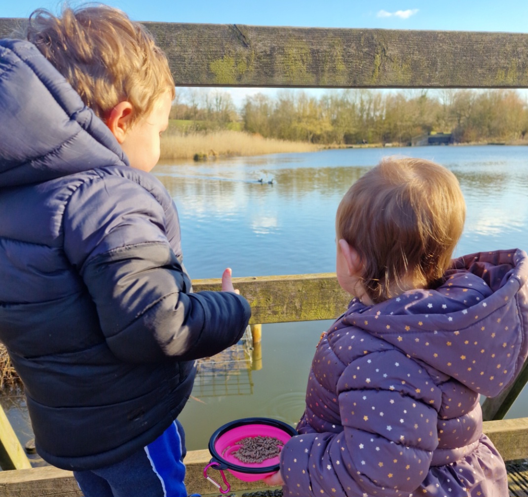 Solar-powered duck food dispenser now installed at Southern Country ...