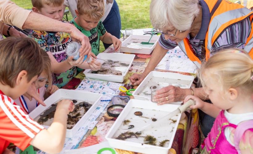 Searching for wildlife