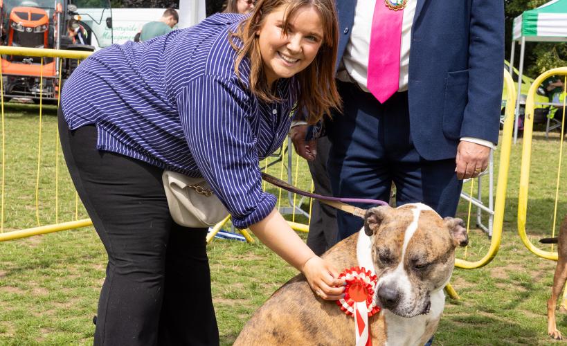 Ron, winner of the Best Rescue category of the Dog Show