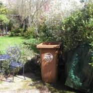 brown bin