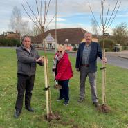 Cllr John Wyllie, Cllr Diane Hollebon and Cllr Graham McAndrew pictured planting Sakura trees in St Michaels Mead