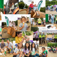 collage of photographs taken at Southern Country Park and Pishiobury Park