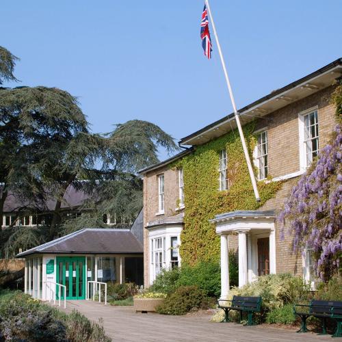 Wallfields